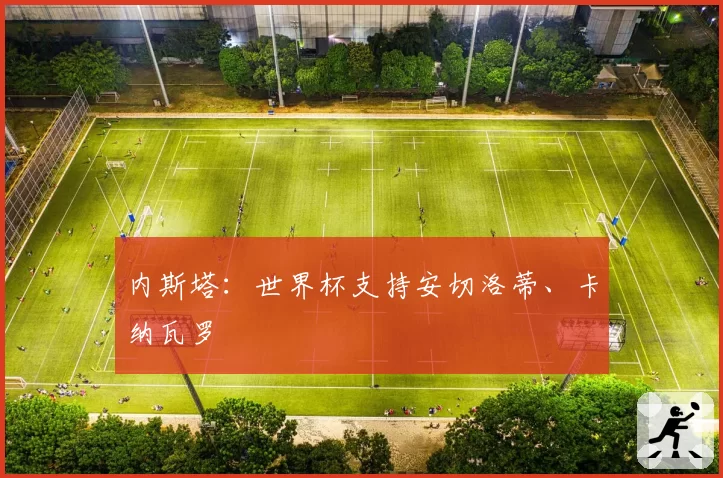 内斯塔:世界杯支持安切洛蒂、卡纳瓦罗